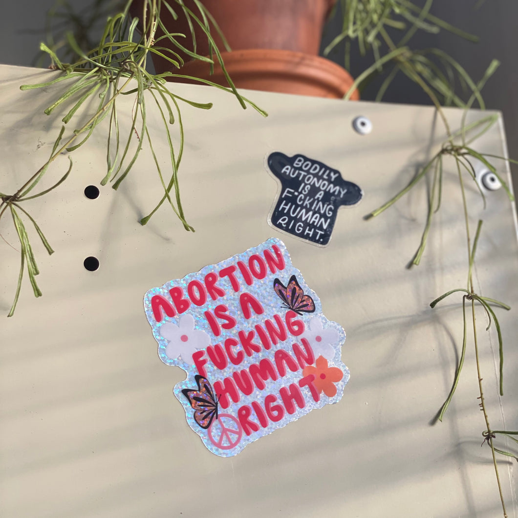 Abortion is a Human Right Stickers